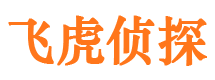 云城市侦探公司